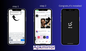 Wink Video Enhancing Tool v2.0 Download Full Version 2025