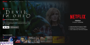 Netflix V7.0.8.0 Free Download Premium For Pc 2025