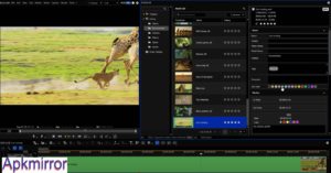 Grass Valley Edius Pro V9.20.3340 Free Download For PC 2025