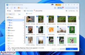 Download Easeus Data Recovery Wizard Full v17.0.0.0