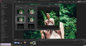 Acdsee Photo Studio Ultimate 2024 v18.0.1.3997 PC